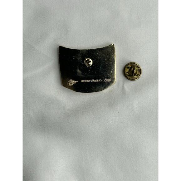 Dale Earnhardt Jr.'s Budweiser Bud King Of Beer #8 NASCAR car Chevrolet Pin - Picture 6 of 7